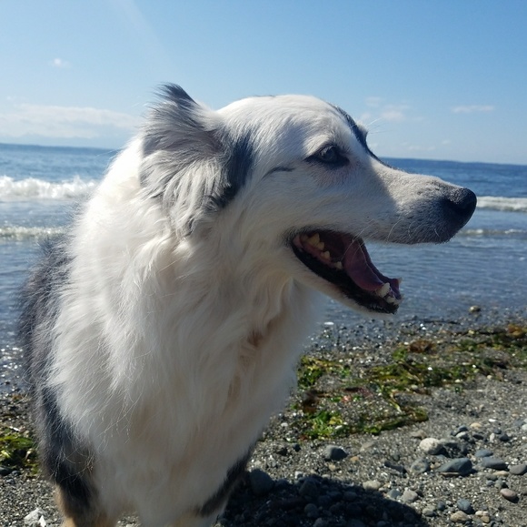 Meet your Posher, Crystal - Picture 8 of 8